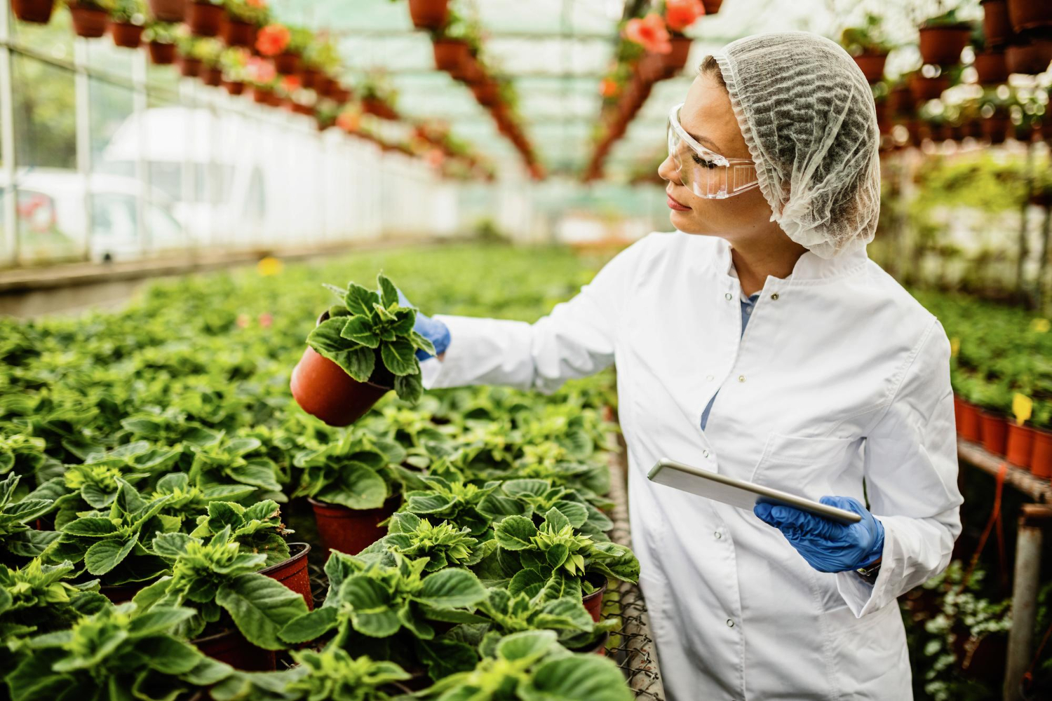 modern organic farmer