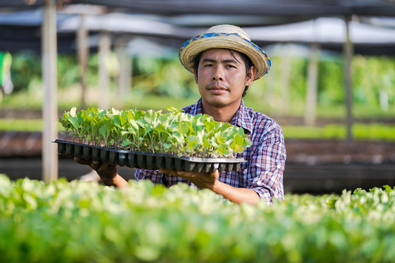 modern farmer