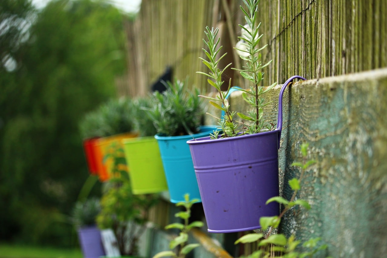 Growing Vegetables Containers